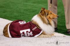 ARLINGTON, TX — Arkansas Razorbacks vs. Texas A&M Aggies | AT&T Stadium in Arlington, TX