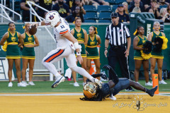 WACO, TX 8.29.25— Auburn Tigers vs. Baylor Bears at McLane Stadium