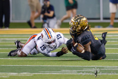 WACO, TX 8.29.25— Auburn Tigers vs. Baylor Bears at McLane Stadium