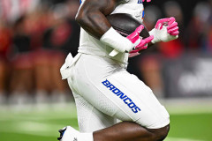 Boise1-4