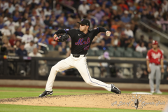 mets-vs-reds-for-alost-02