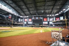 chasefield-1