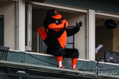 Baltimore, MD - July 9, 2022: Baltimore Orioles mascot during the game between the Baltimore Orioles and Los Angeles Angels at  Oriole Park at Camden Yards in Baltimore, MD.   (Photo by Elliott Brown/A Lot of Sports Talk)