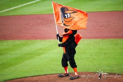 Baltimore, MD - July 9, 2022: Baltimore Orioles waves the flag after the game between the Baltimore Orioles and Los Angeles Angels at  Oriole Park at Camden Yards in Baltimore, MD.   (Photo by Elliott Brown/A Lot of Sports Talk)