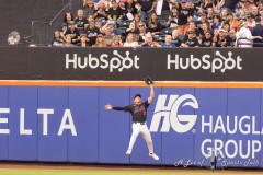 mets-rays-for-alost-02-scaled