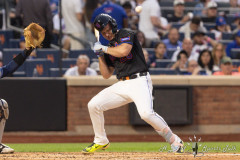 mets-rays-for-alost-08-scaled