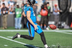 Panthers_Falcons-2089124