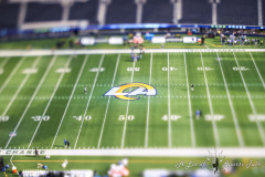 Lions-vs-Rams_725-scaled