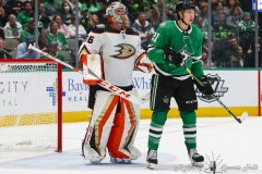 DALLAS, TX -FEBRUARY 6: Ducks vs. Stars at American Airlines Center in Dallas, TX (Photo by Ross James/ALOST)