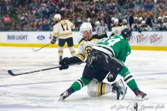 DALLAS, TX - FEBRUARY 14: Boston Bruins vs . Dallas Stars (Photo by Ross James/ALOST)