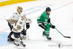 DALLAS, TX — NOVEMBER 6: Boston Bruins at Dallas Stars from American Airlines Center in Dallas, TX. (Photo by Ross James/ALOST)