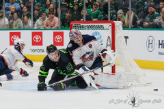 DALLAS, TX — February 2, 2025 Dallas Stars host the Columbus Blue Jackets at American Airlines Center.