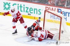 devils-vs-wings-4