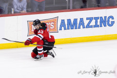 Devils-vs-Wild-02-1