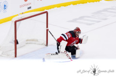 Devils-vs-Wild-15