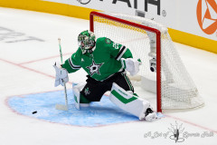 DALLAS, TX — Dallas Stars open the 2026-27 season against the St Louis Blues at American Airlines Center.