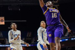 lsu_vs_seton_hall_241217_30