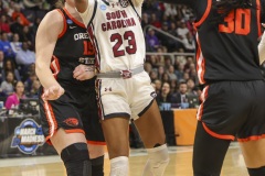 ALBANY, NEW YORK – MARCH 31:  South Carolina guard BREE HALL (23) puts up a closely contested shot during the 2024 NCAA Women’s Basketball Tournament Albany 1 Regional Final at MVP Arena on March 31, 2024, in Albany, N.Y.  (Scotty Rausenberger/A Lot of Sports Talk)