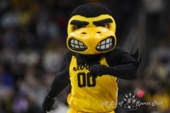 ALBANY, NEW YORK – MARCH 30:  The Iowa Hawkeye is marching on to the elite 8 during the 2024 NCAA Women’s Basketball Tournament Albany 2 Regional semifinal at MVP Arena on March 30, 2024, in Albany, N.Y.  (Scotty Rausenberger/A Lot of Sports Talk)