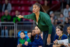 CHESTNUT HILL, MA - JANUARY 23: Notre Dame Fighting Irish head coach Niele Ivey reacts during a women’s college basketball game between the Notre Dame Fighting Irish and the Boston College Eagles on January 23, 2025, at Conte Forum in Chestnut Hill, MA. (Photo by Erica Denhoff/Icon Sportswire)