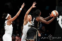 JER_WNBA_NYLibertyVs.ChicagoSkyPlayoffsRound3_8.23.22-26