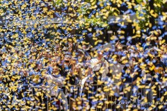 Warriors Championship Parade in San Francisco, California on June 20, 2022. (Photo by Chris Tuite)